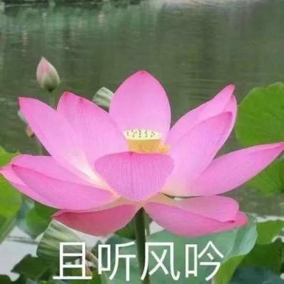灭神传奇手机版(暂未上线)v2.4 安卓最新版